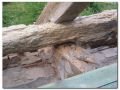 zdegradowana murłata przez szkodniki drewna 